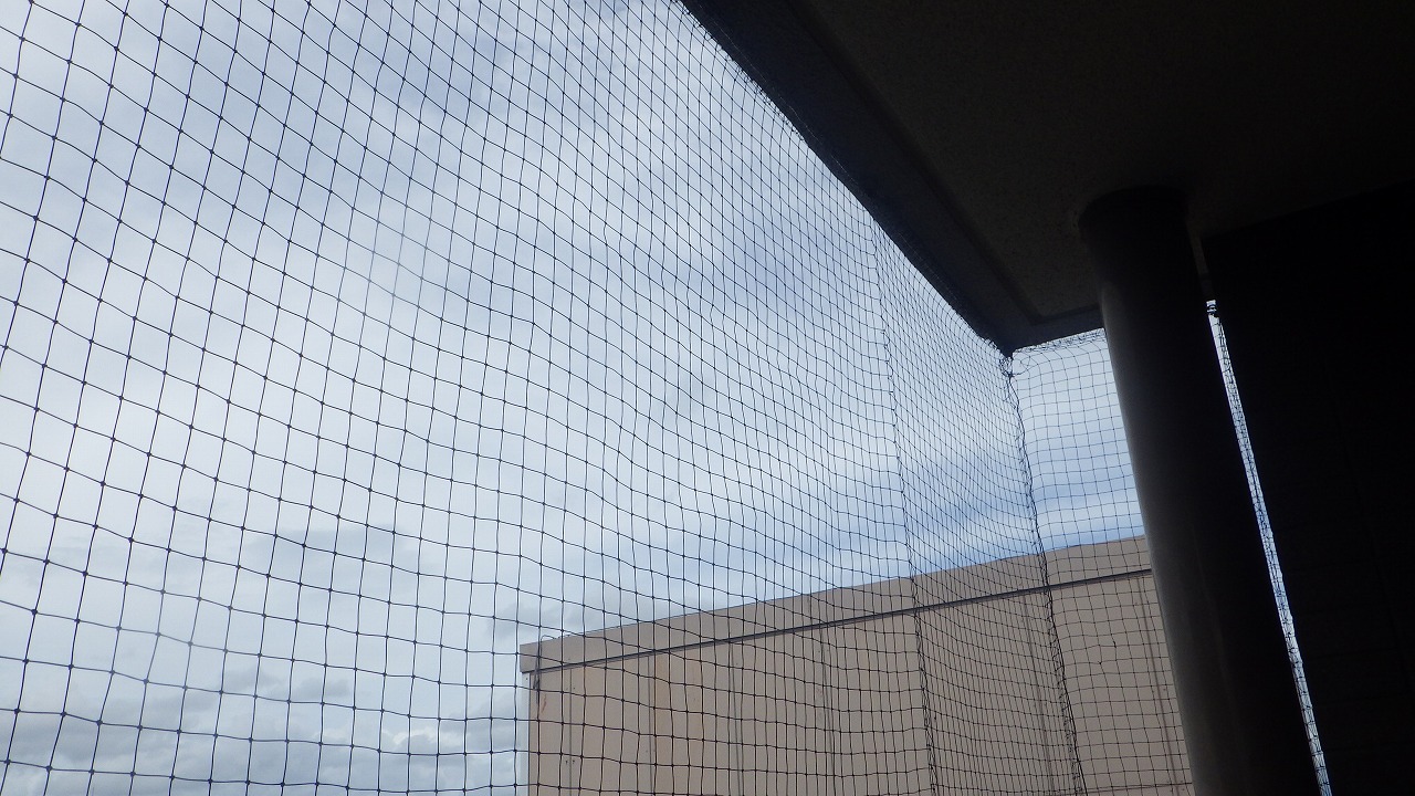 クラシオ　施工実績　熊本市中央区M様／鳩・防鳥ネット対策工事（アフター写真）